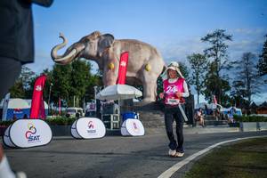 BIB: 
                            <button type="button" onclick="openModal(26541977)" class="btn btn-primary btn-sm float-right btn-popup" data-toggle="modal" data-target=".modal-high-quality">
                        <i class="fas fa-shopping-cart"></i> Add to Cart
                    </button>
                                            <button type="button" onclick="isThisMe(26541977, true)" class="btn btn-success btn-sm float-right btn-popup btn-isme hidden" data-toggle="tooltip" data-placement="bottom" title="นี่คือรูปของคุณใช่ไหม คลิกที่นี่เพื่อเอาเข้าอัลบั้ม">
                        <i class="fas fa-plus"></i> Add to album
                    </button>
                    <button type="button" onclick="isThisMe(26541977, false)" class="btn btn-warning btn-sm float-right btn-popup btn-isnotme hidden">
                        <i class="fas fa-ban"></i> Remove from album
                    </button>